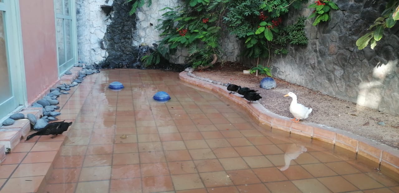 Sonstiges H10 Costa Adeje Palace