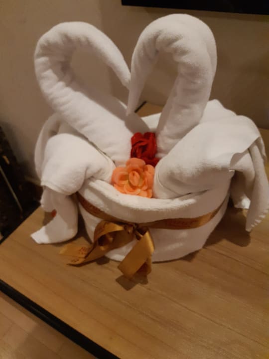 Zimmer Hotel Delphin Imperial