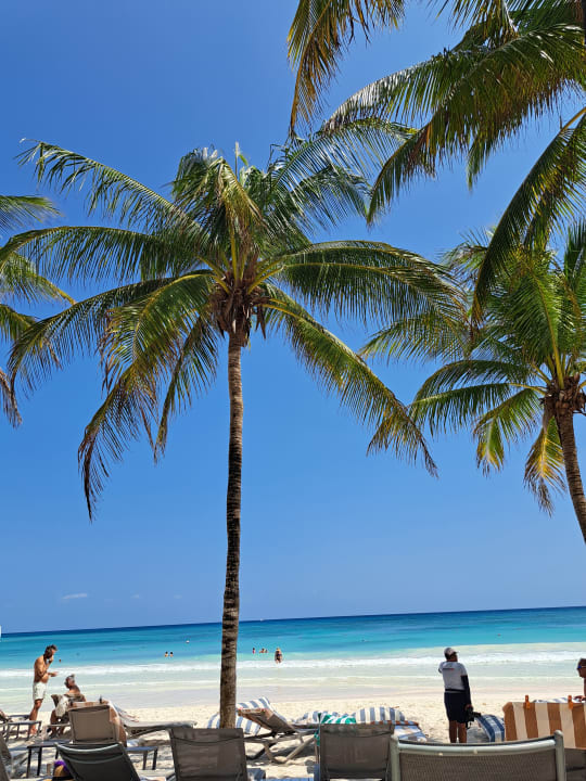 Strand Catalonia Royal Tulum Beach & Spa Resort - Adults only