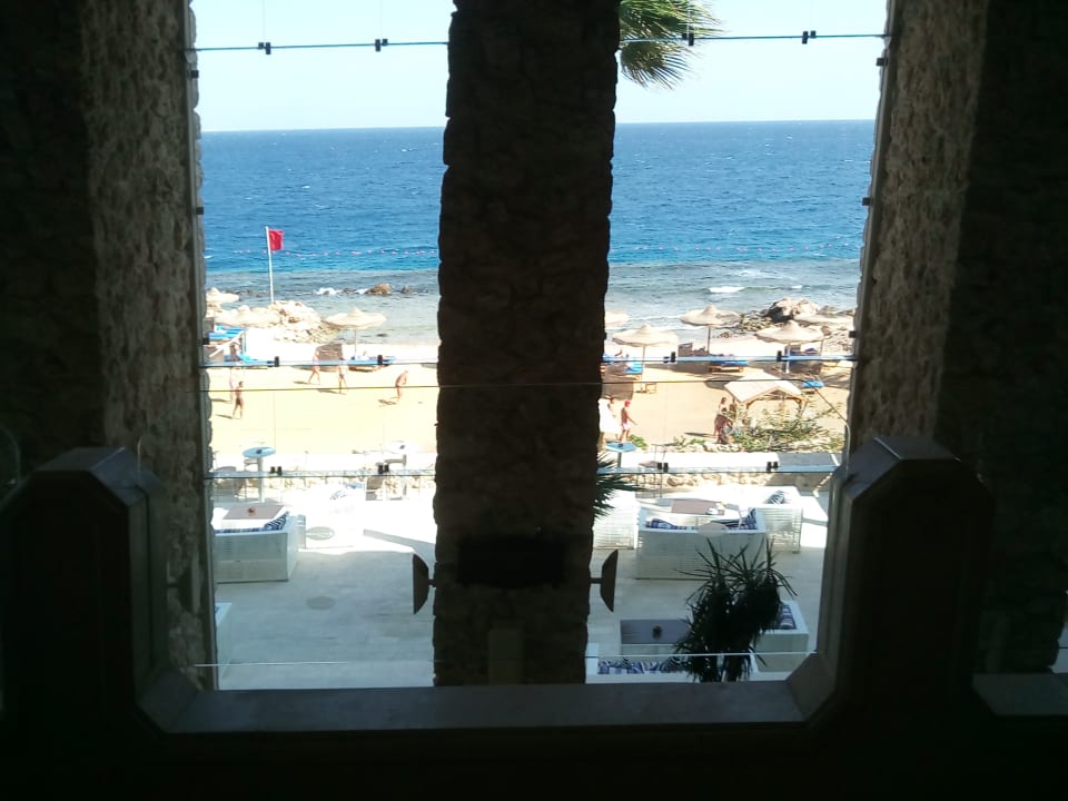 Ausblick Pickalbatros Citadel Resort