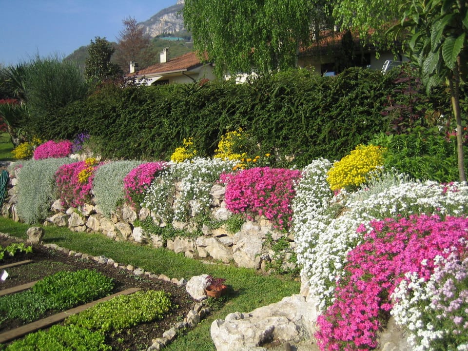 E primavera B&B La Betulla