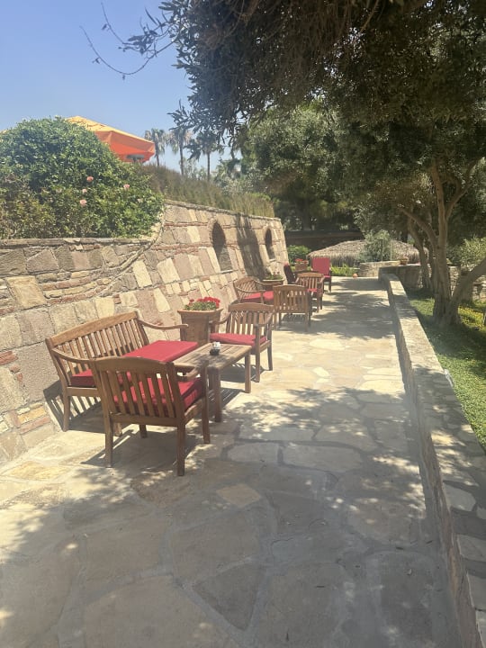 Gartenanlage Arum Barut Collection