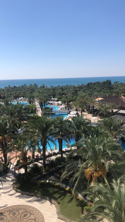 Zimmer Royal Wings Hotel