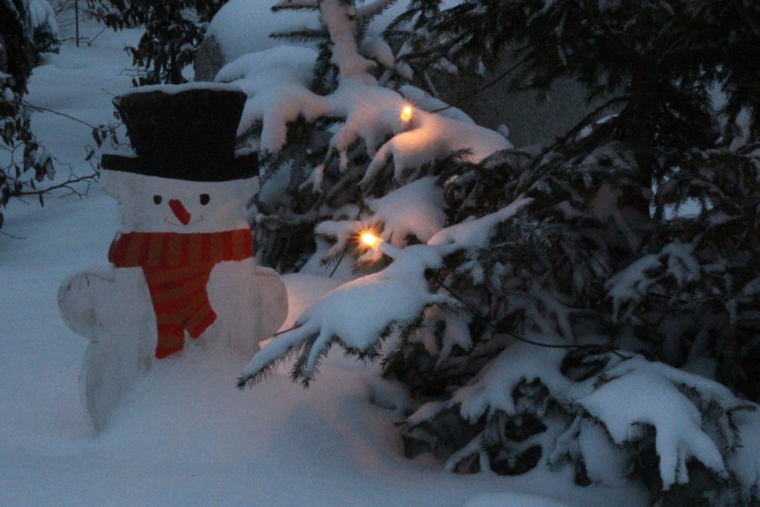 Lohnerhof Lohner Hof