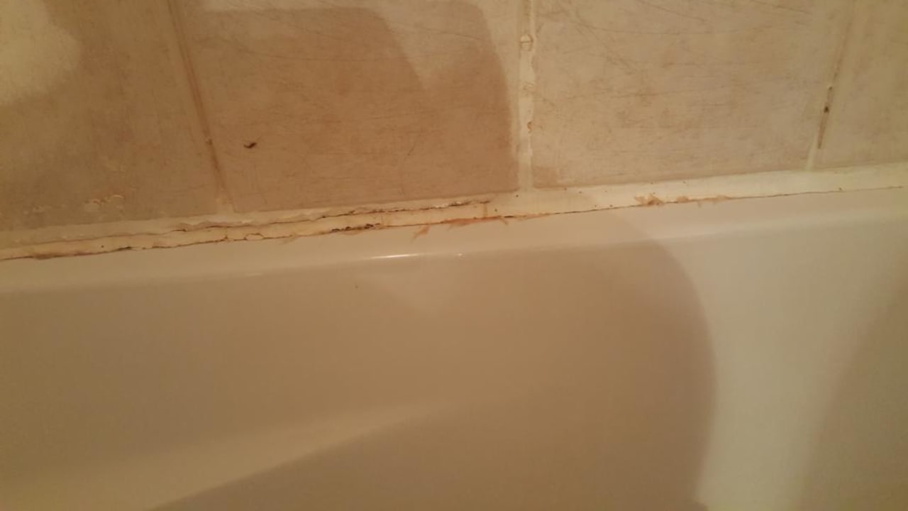 Zimmer Ghazala Gardens