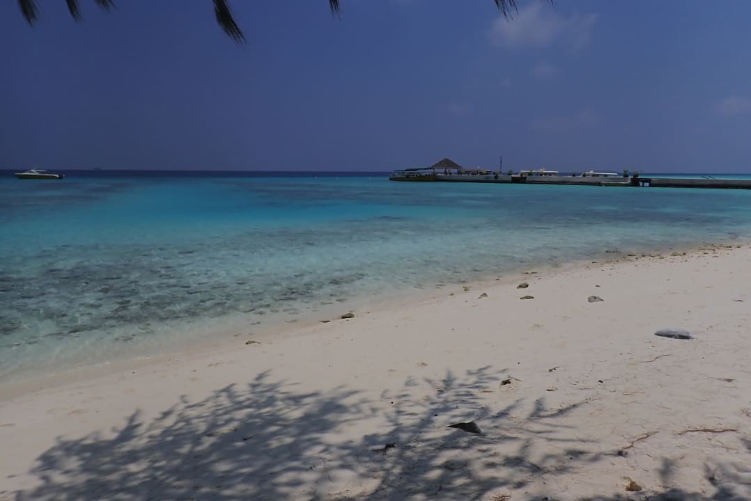 Strand Summer Island Maldives
