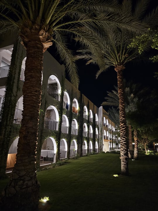 Gartenanlage Desert Rose