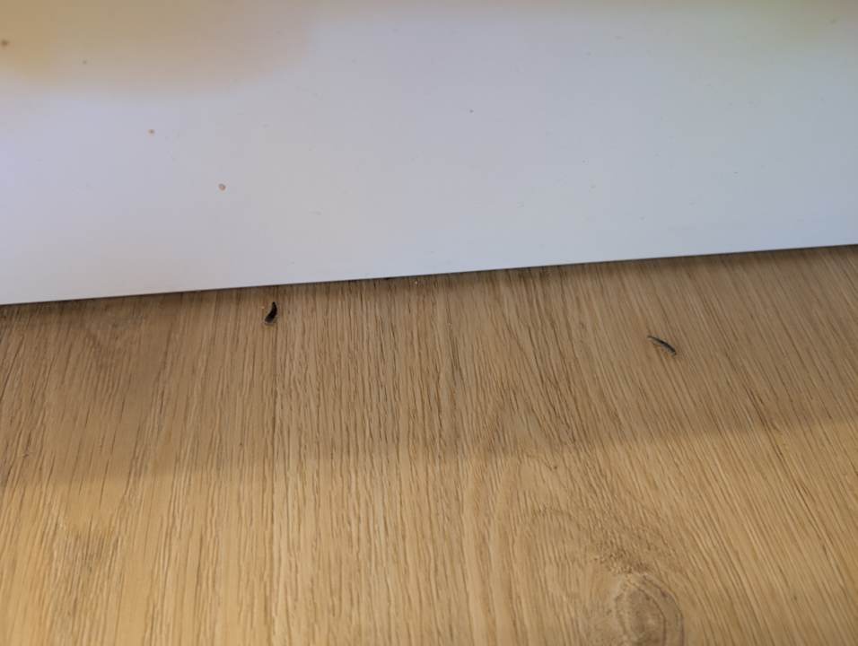 Zimmer Ferienpark Hof van Saksen