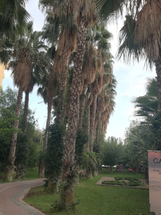 Gartenanlage Hotel Gardenia Beach