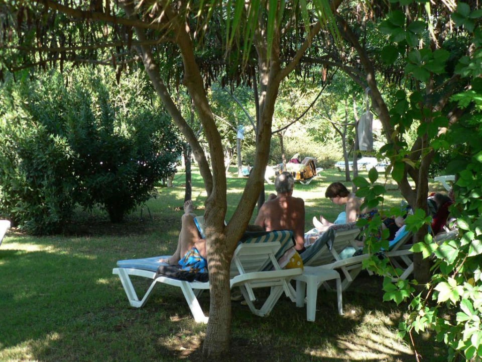 Schattige Plätzchen Belconti Resort Hotel