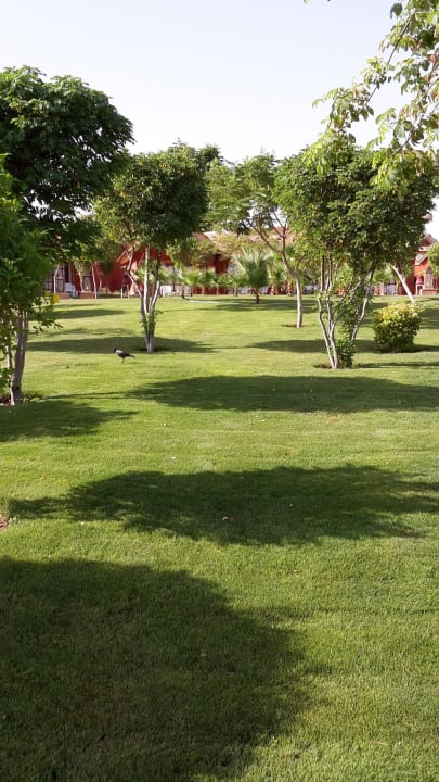 Anlage Pickalbatros Jungle Aqua Park Resort - Neverland Hurghada