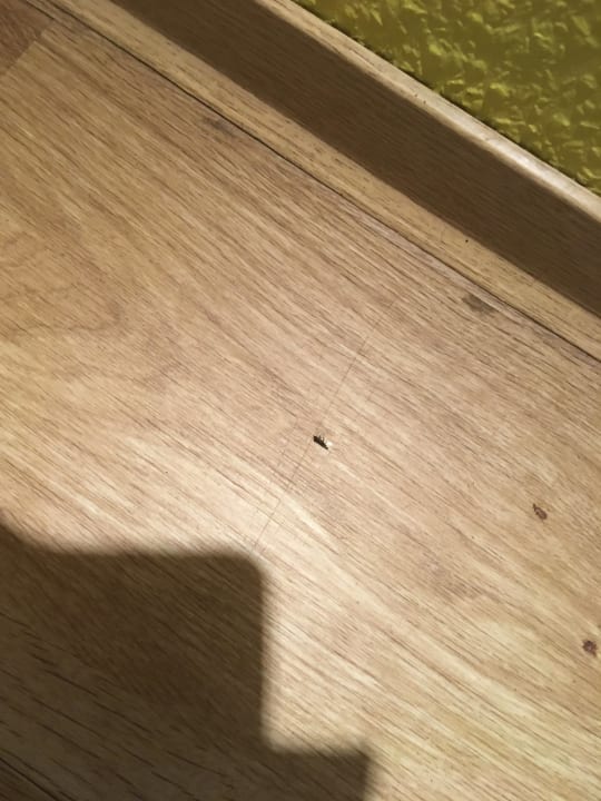 Zimmer Center Parcs Park Bostalsee