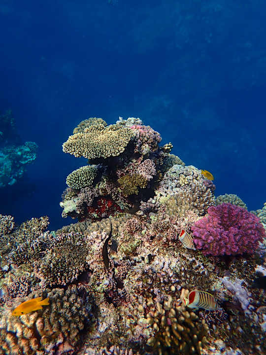 Sport & Freizeit Utopia Beach Club