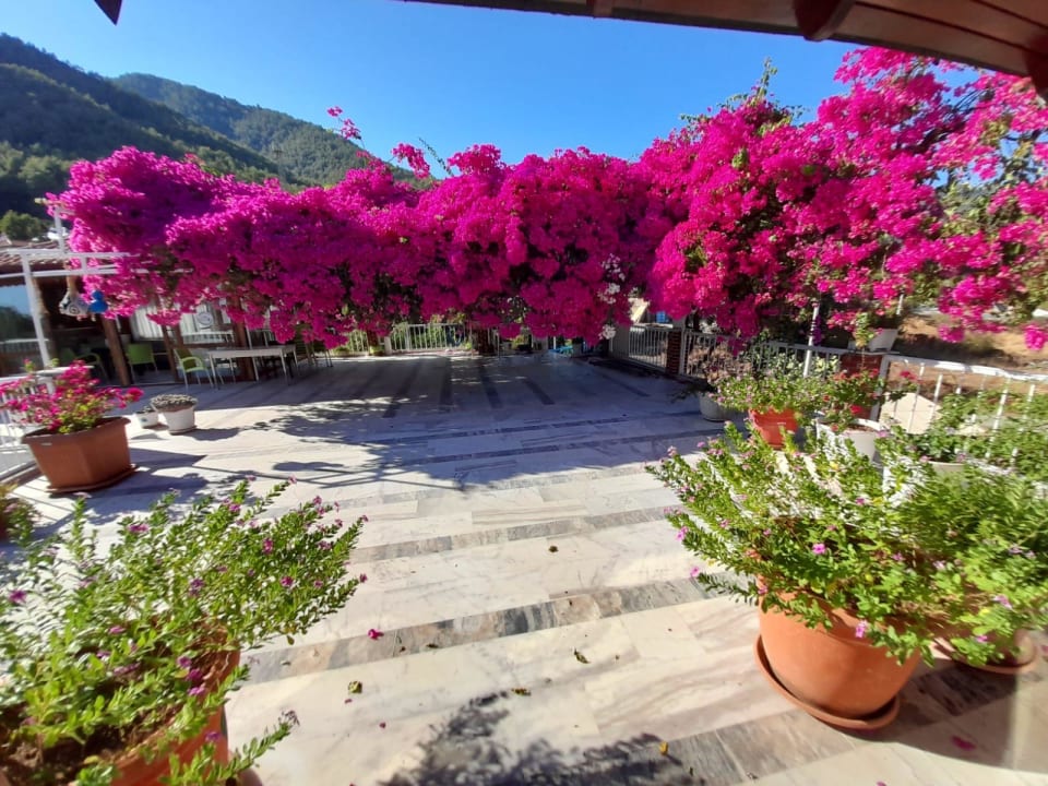 Gartenanlage Akdeniz Pansiyon