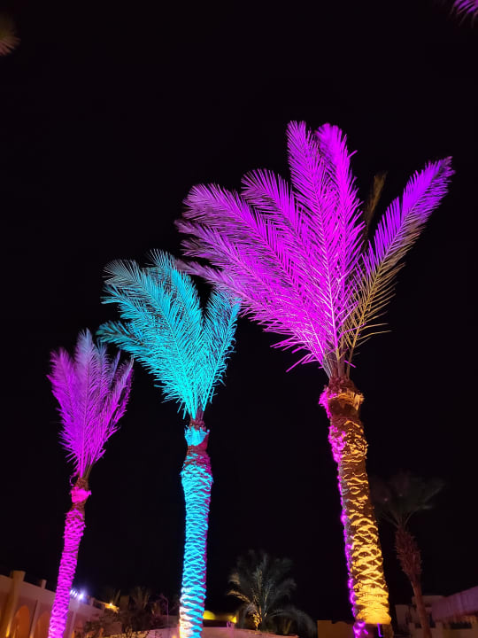 Außenansicht Steigenberger Coraya Beach - Adults only