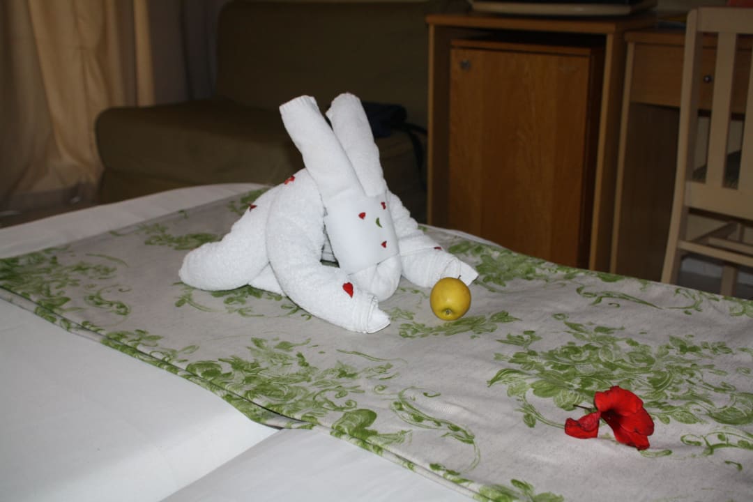 Und wieder ein neues Motiv  Ghazala Gardens