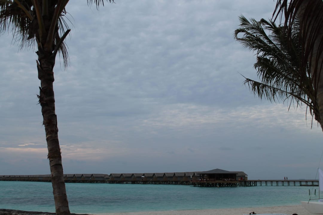 Bar und Wasserbungalows Centara Ras Fushi Resort & Spa Maldives