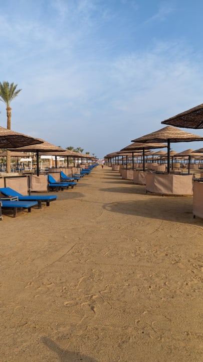 Strand Pickalbatros Palace Hotel-Port Ghalib