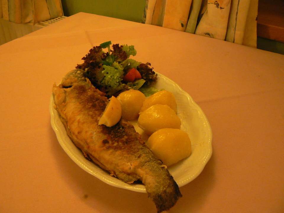 Forelle Hotel Stadt Bernburg