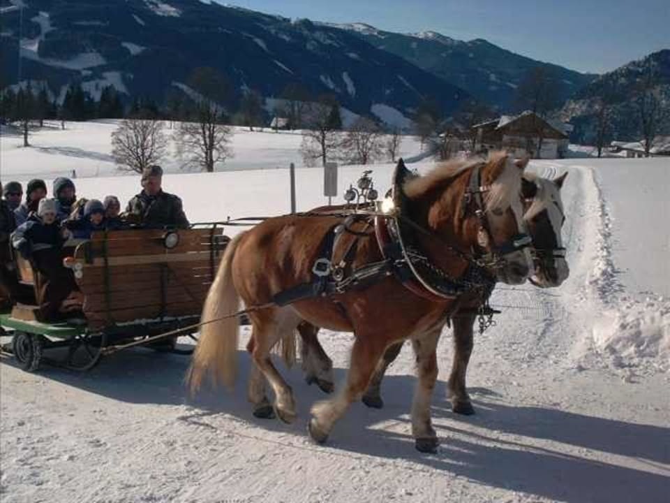 Sportanlagen/Freizeitangebot Brandstätterhof