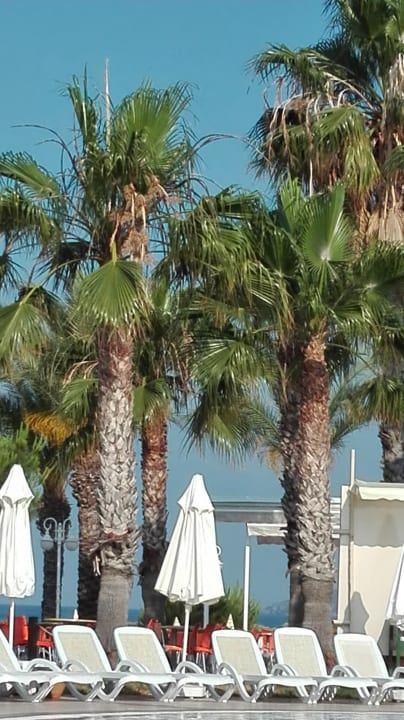 Pool Oz Hotels Incekum Beach