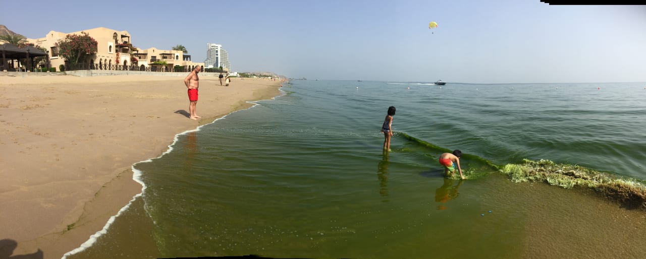 Strand Miramar Al Aqah Beach Resort