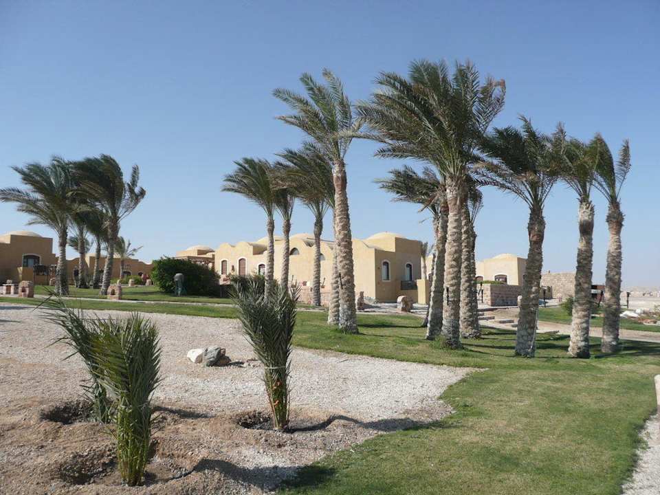 Palmen Radisson Blu Resort, El Quseir