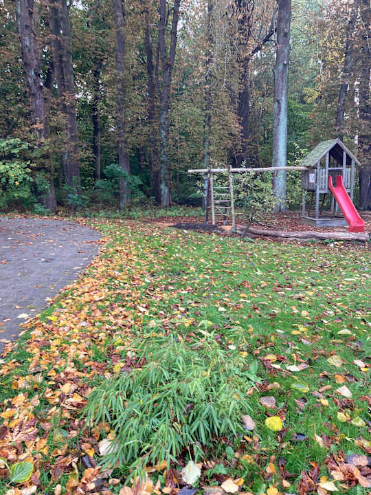 Außenansicht Seehotel Frankenhorst - BW Signature Collection