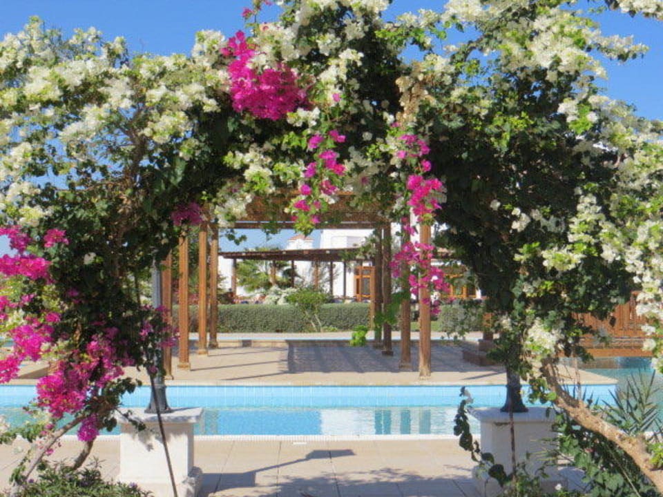 Eine gartenidylle Lahami Bay Beach Resort