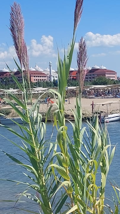 Außenansicht Royal Taj Mahal Hotel