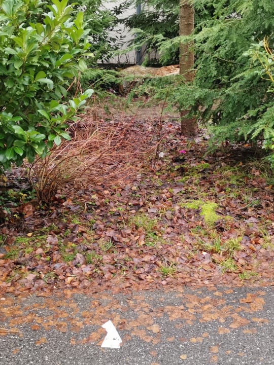 Außenansicht Center Parcs Park Bostalsee