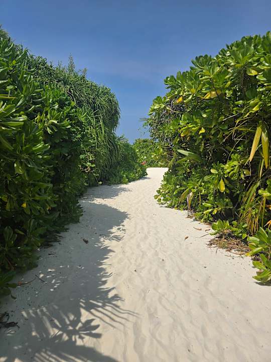 Gartenanlage Kuredu Island Resort & Spa