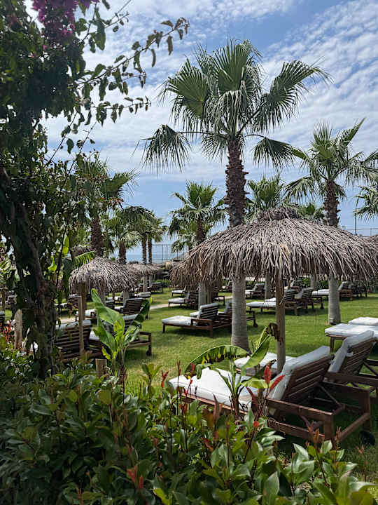 Außenansicht Rubi Platinum Sign