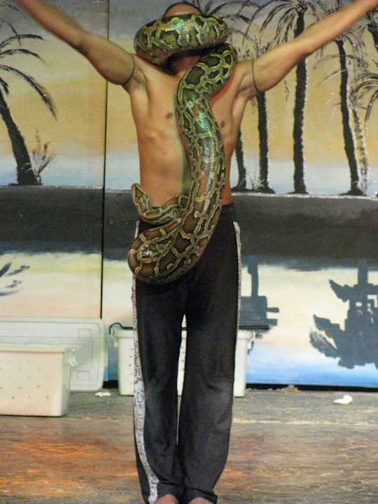 С питоном Pickalbatros Alf Leila Wa Leila Resort - Neverland Hurghada