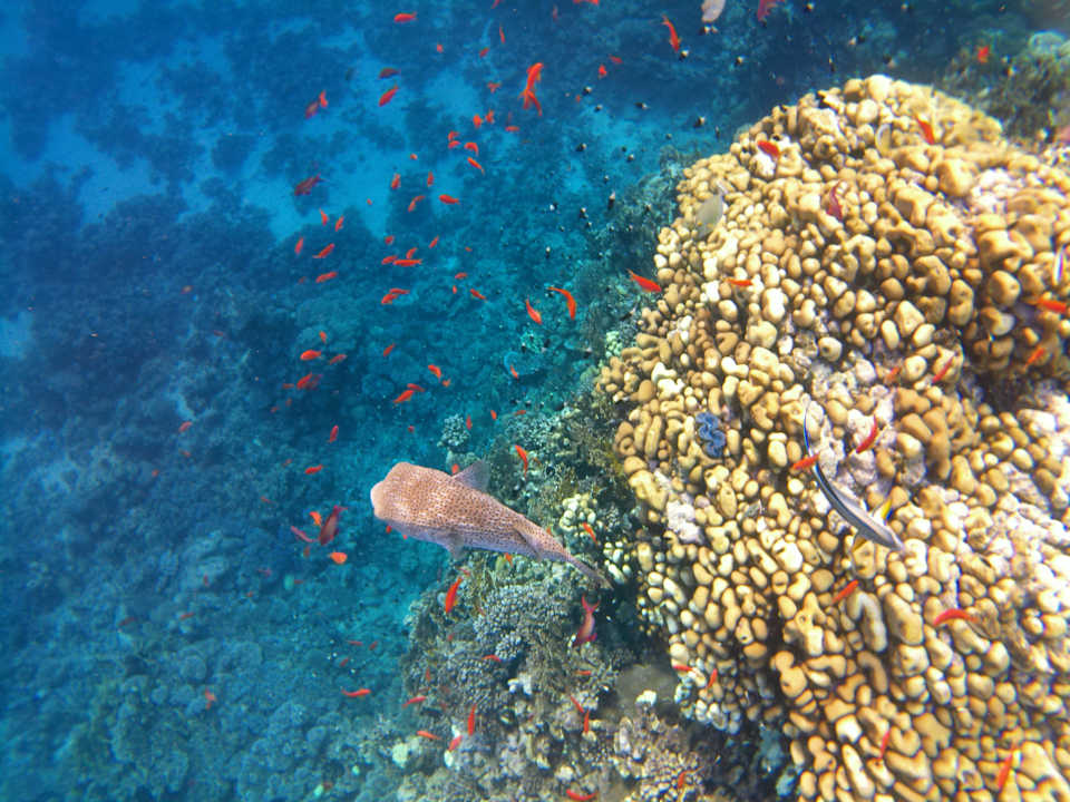 Strand Casa Mare Resort