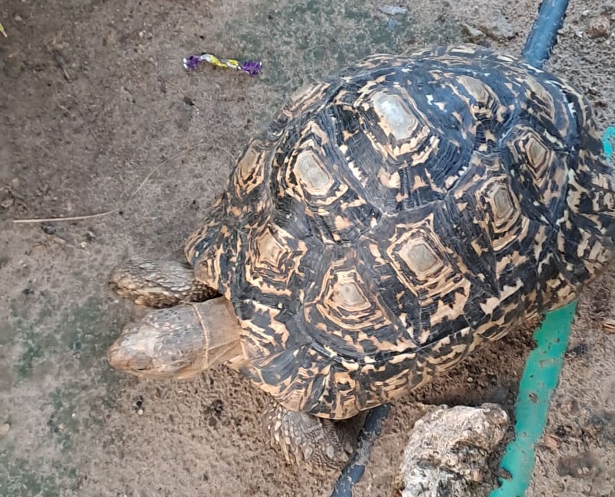 Sonstiges Bahari Beach Hotel