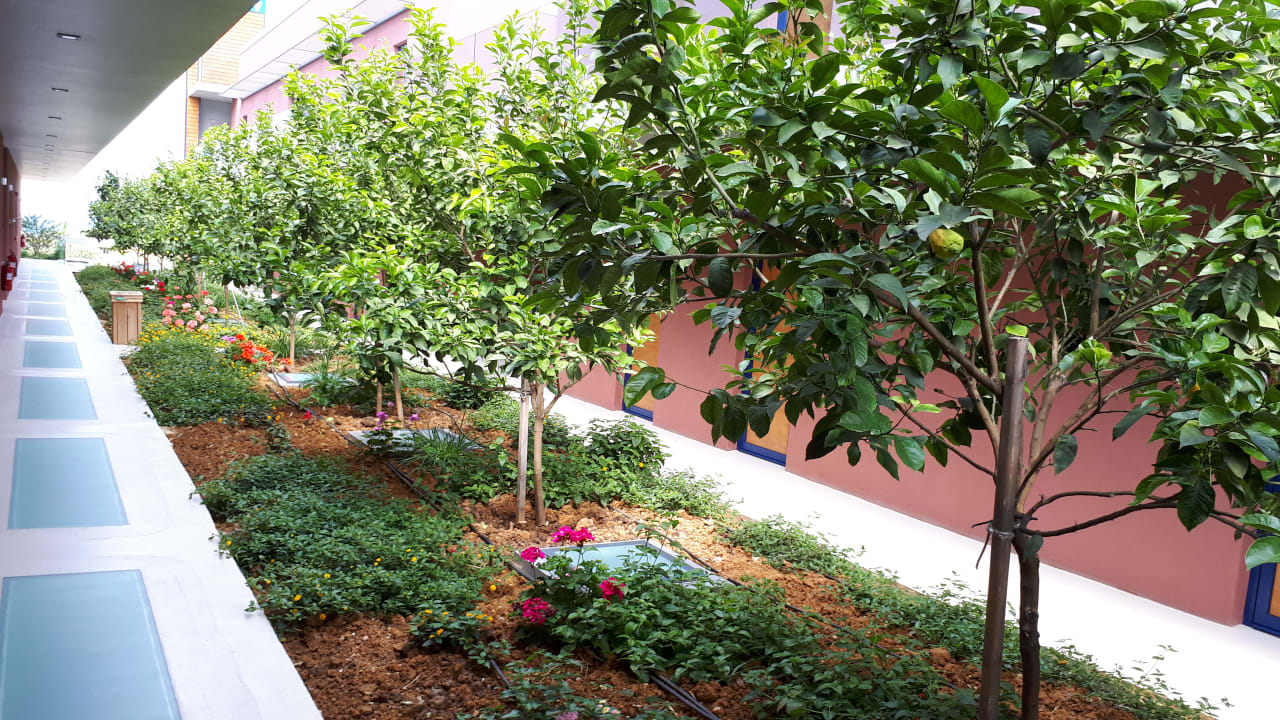 Sonstiges Harmony Boutique Resort