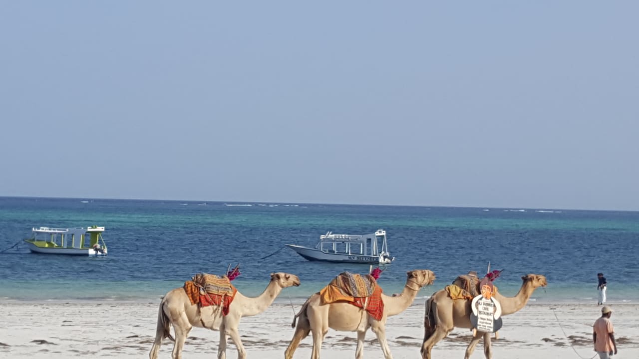 Strand Neptune Village Beach Resort & Spa