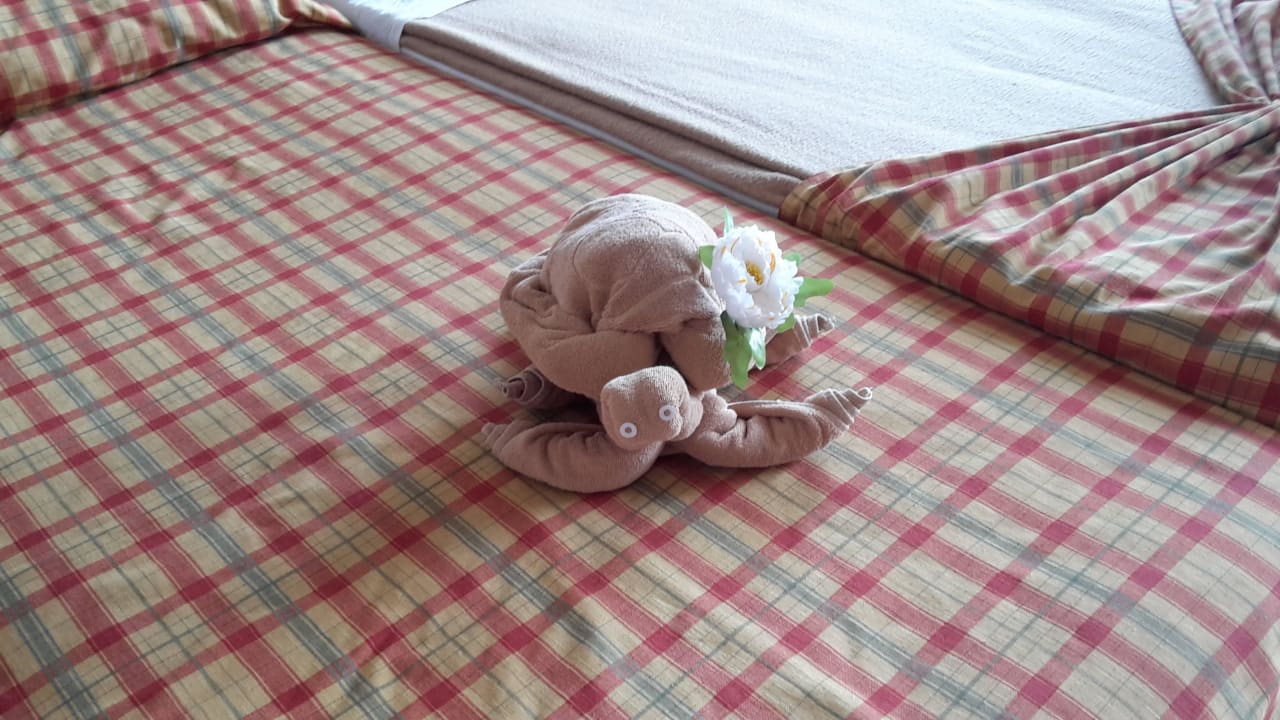 Täglich neue Handtuchkreationen SBH Club Paraiso Playa