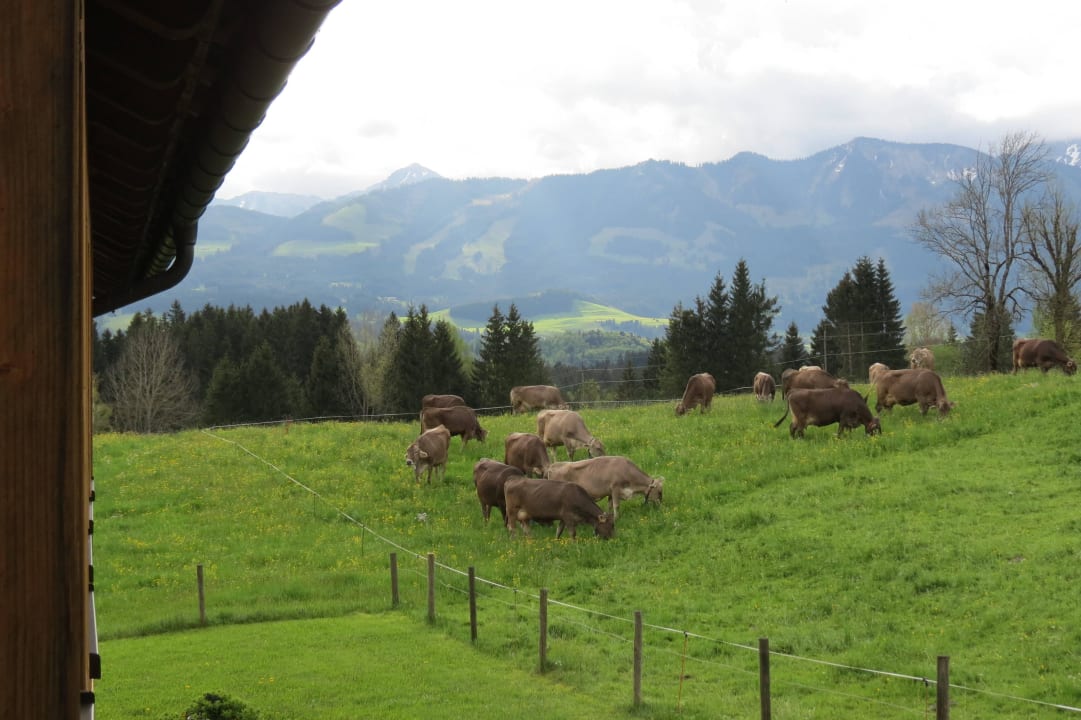 Blick vom Balkon Landhaus Tröster