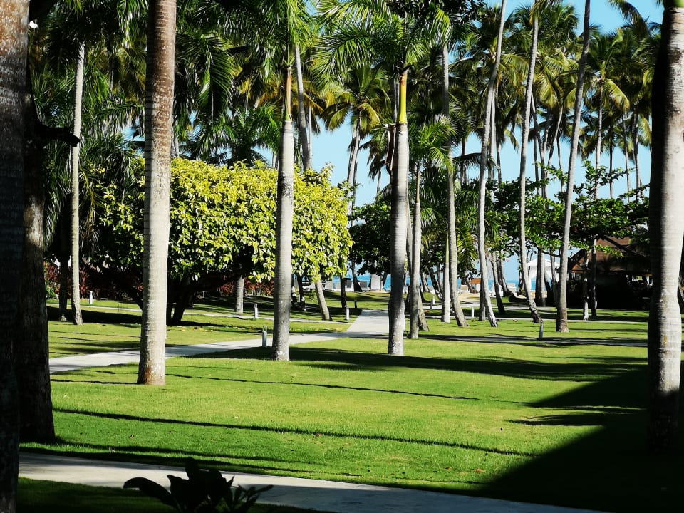Gartenanlage Viva V Samana by Wyndham – Adults Only