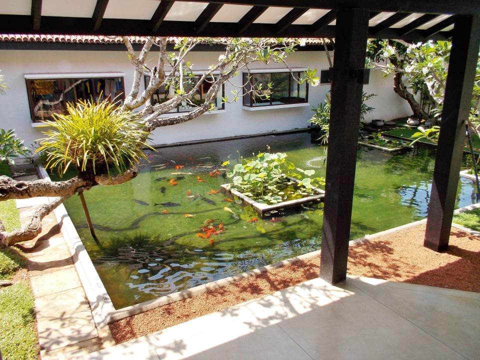 Innenhof Thaala Bentota