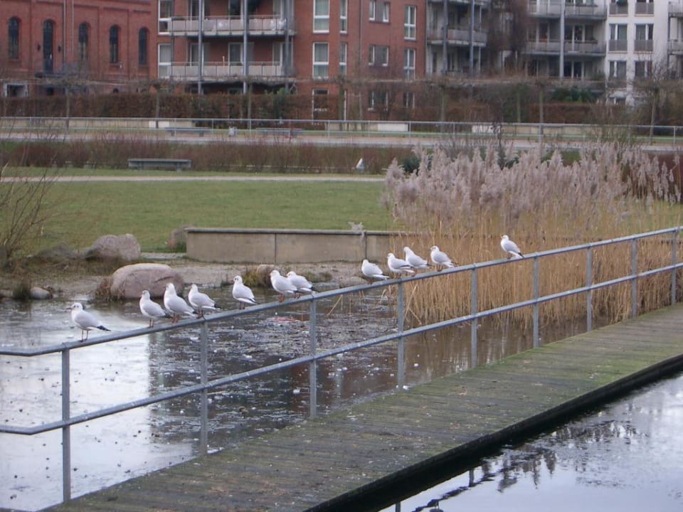 Umgebung Gastwerk Hamburg