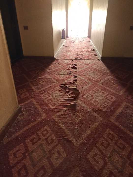 Sonstiges Ghazala Beach