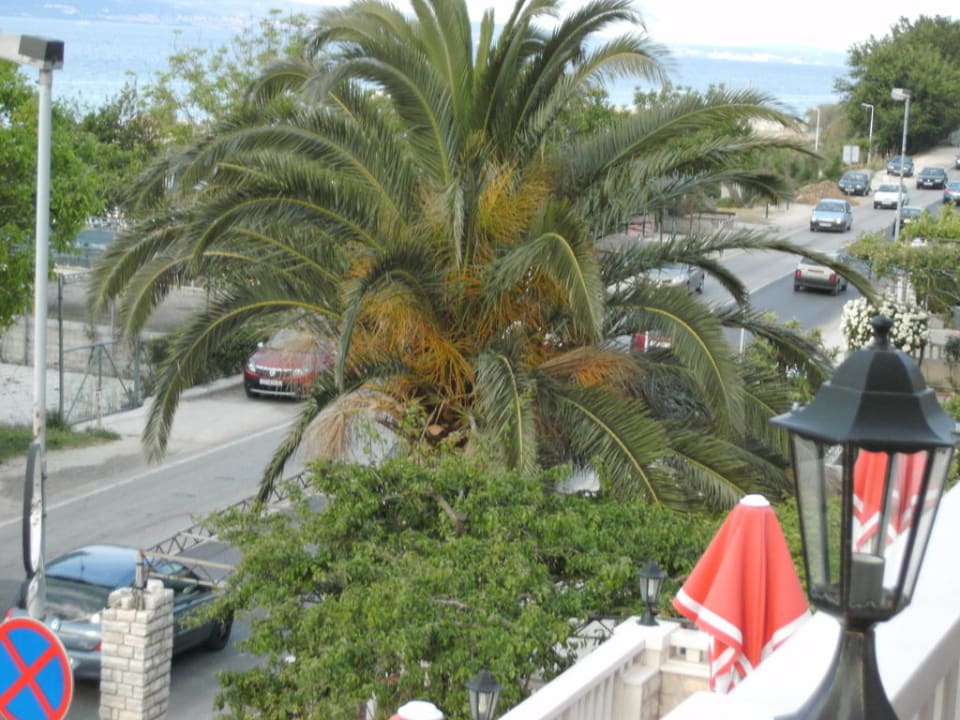 Terrasse Pansion & Apartments Sidro