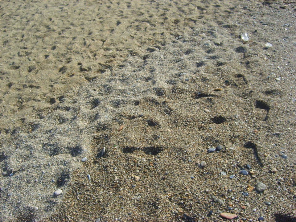 Kies-/Sandstrand Titan Select Solivia Hotel