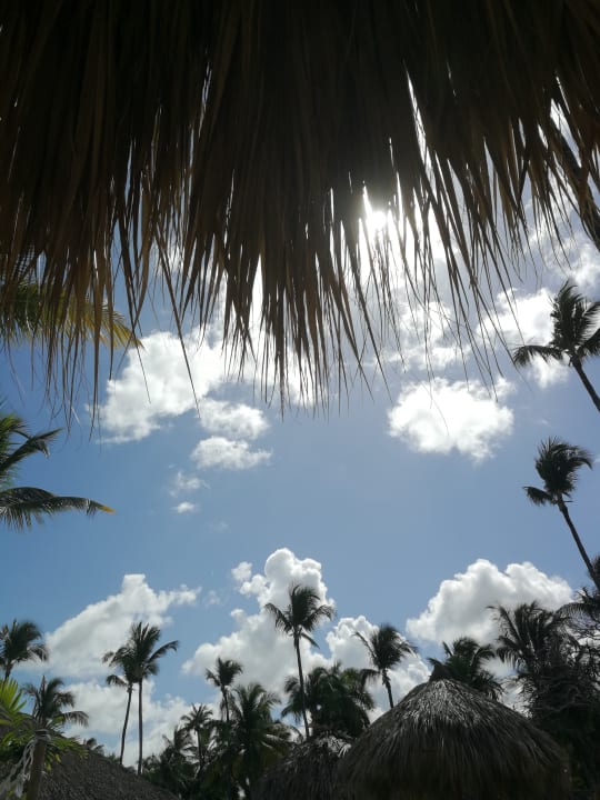 Ausblick Grand Palladium Select Bávaro Resort & Spa