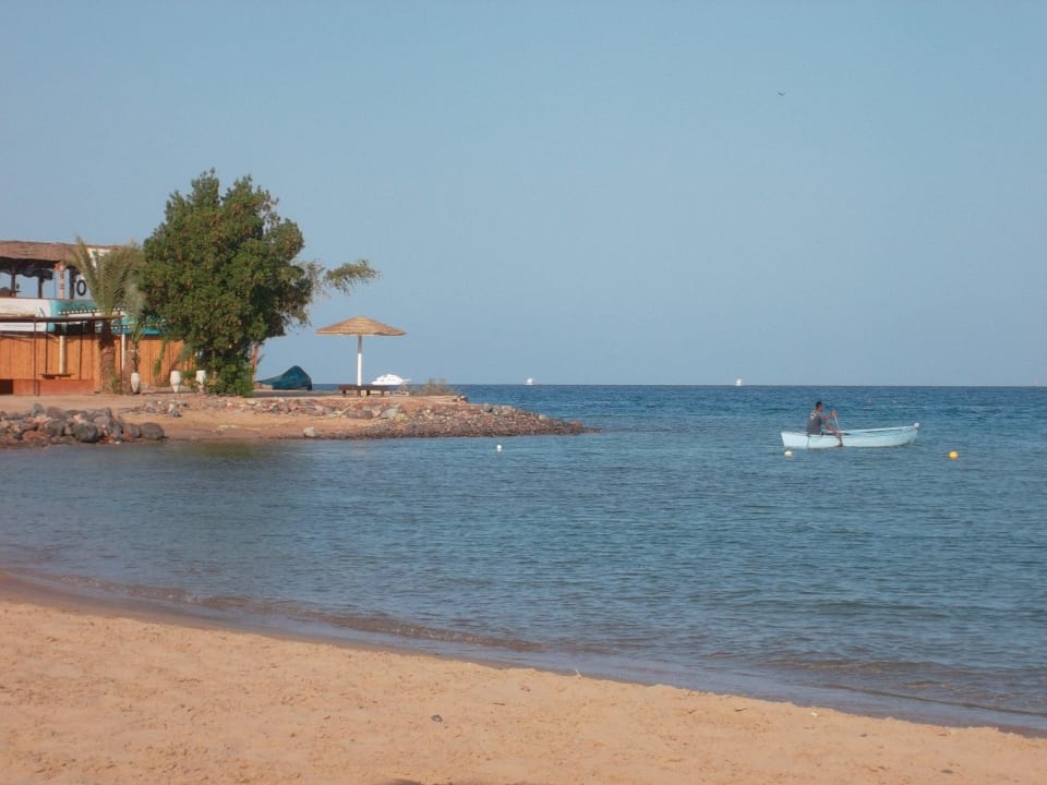 Blick vom Strand auf`s Meer Eagles Paradise Abu Soma
