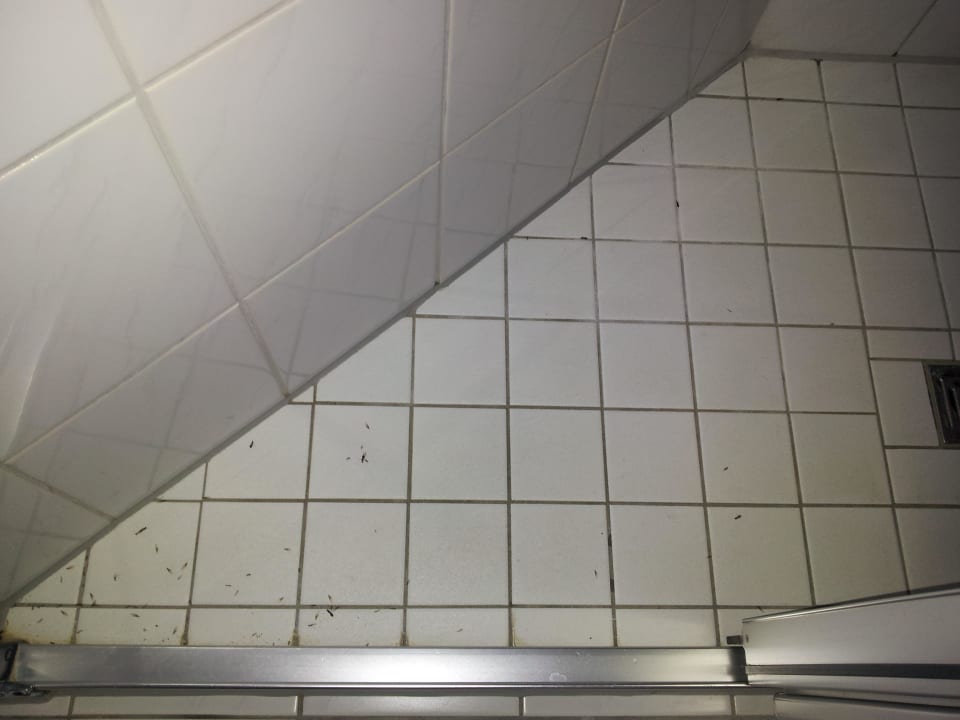 Mitbewohner Hotel Wassermühle Heiligenthal