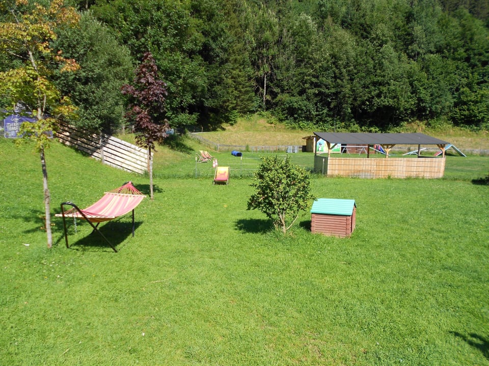 Hundebeschäftigung  Hotel Grimming